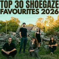 Shoegaze_charts.jpg